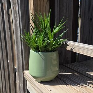 Modern Footed Ceramic Pottery 4.5" Planter